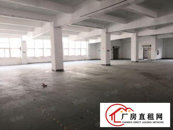  带货梯，6楼空置厂房