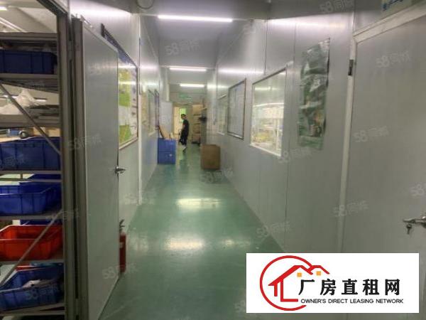  石岩物流园新出整层1100平精装修厂房出租