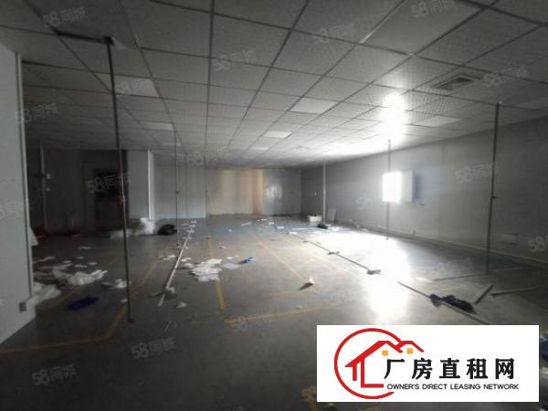  石岩汽车站新出楼上500平米，带精装修