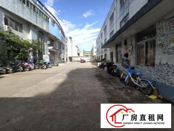  石岩汽车站新出楼上500平米，带精装修
