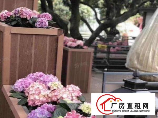  教育用地的学校场地出租建筑1万平米空地3万平米合同15年