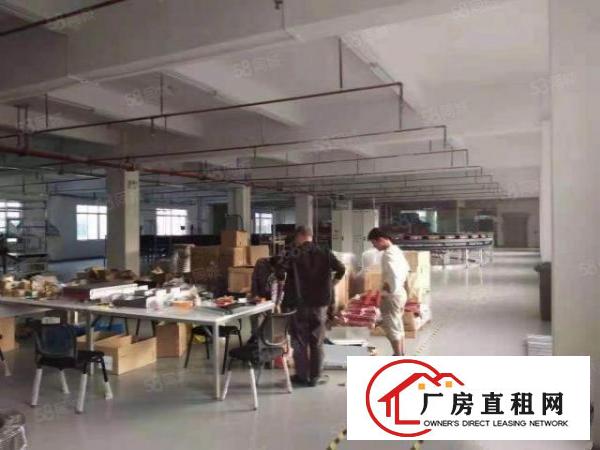  石岩镇科技园区，原房东楼上2300平方厂房出租