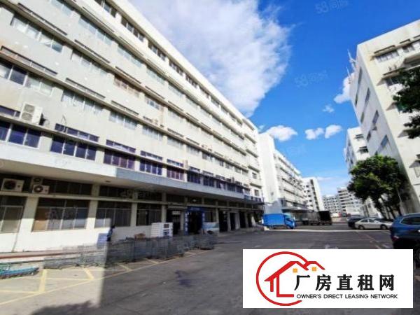  石岩汽车站楼上1000平豪华装修，免转让费建筑面积厂房出租。