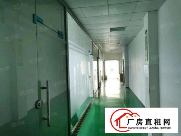  塘头新出带装修电子厂1260平方厂房出租，可随时看，可分租，