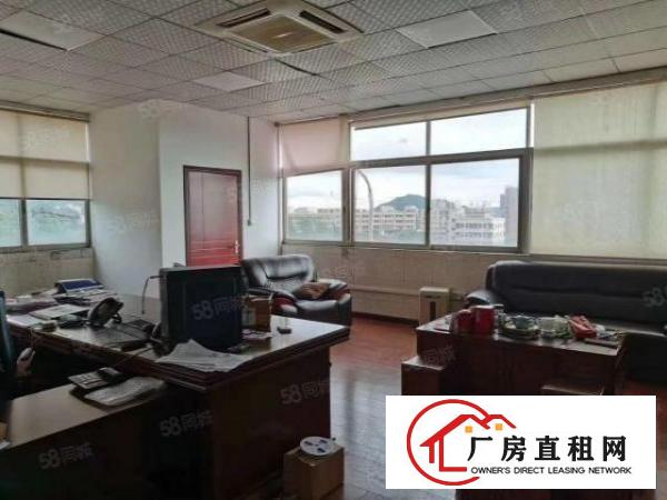  塘头新出带装修电子厂1260平方厂房出租，可随时看，可分租，