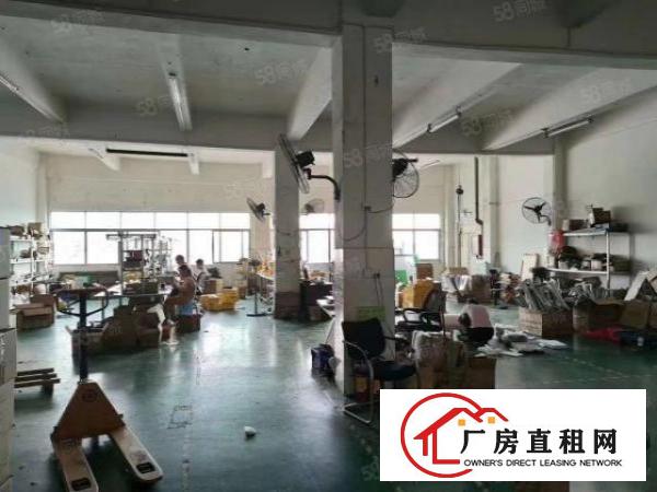  塘头新出带装修电子厂1260平方厂房出租，可随时看，可分租，