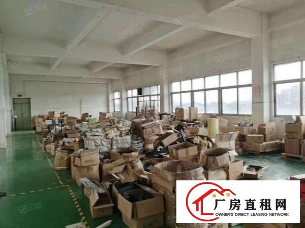  塘头新出带装修电子厂1260平方厂房出租，可随时看，可分租，