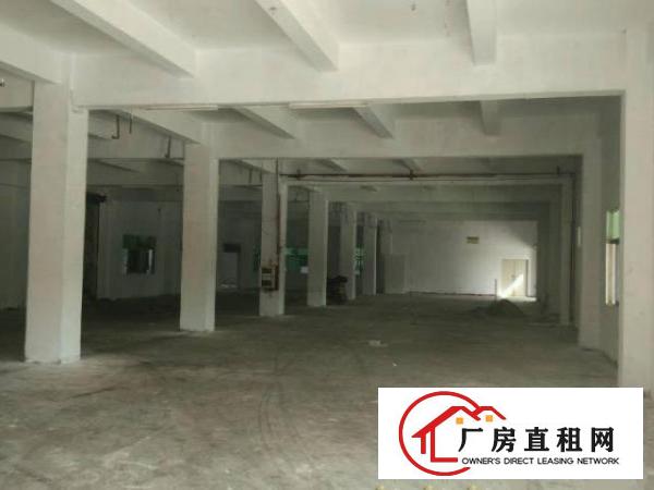  光明绝世靓盘一楼出租