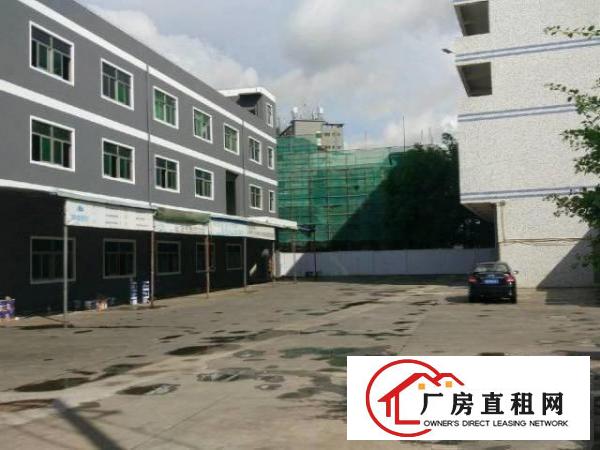  光明绝世靓盘一楼出租