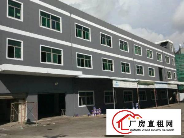  光明绝世靓盘一楼出租