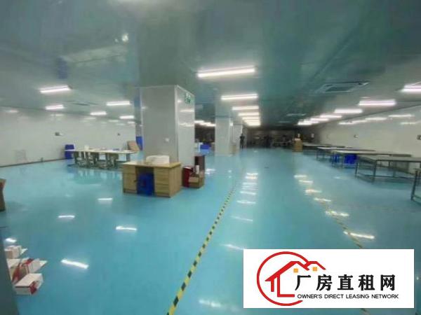  公明十万级无尘车间整层3500平方