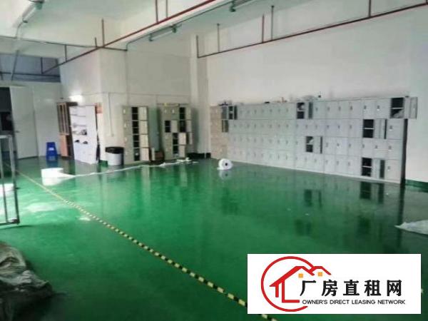  公明十万级无尘车间整层3500平方