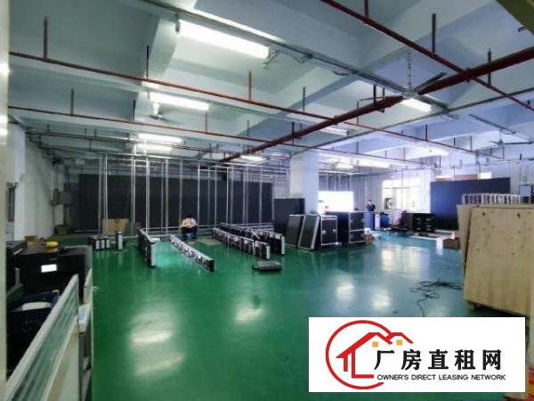  光明原房东工业区独院厂房总面积3456平