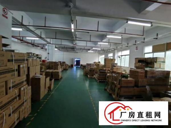  光明原房东工业区独院厂房总面积3456平