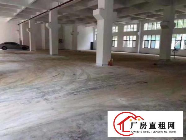  光明/公明独院厂房3000-30000平方出租