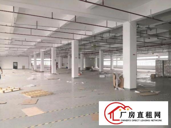  光明红本15000平