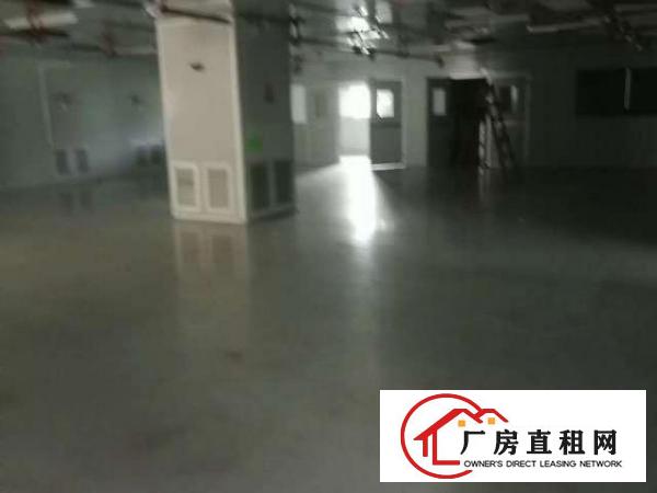  光明区田寮高新园区2楼豪华装修百级无尘车间