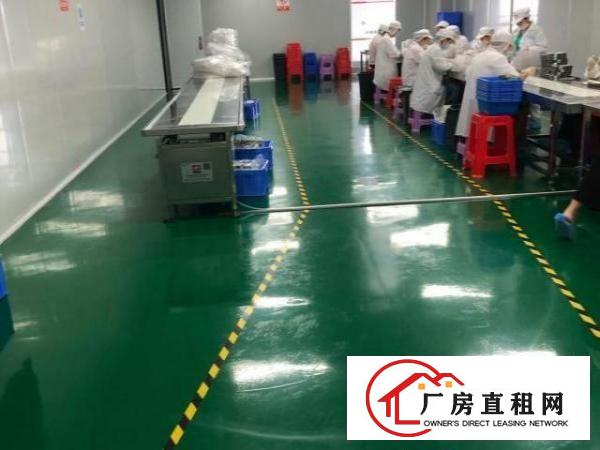  新出无尘车间1300平