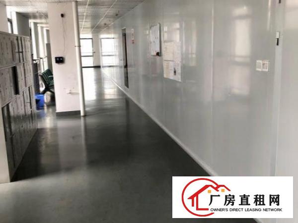  新出无尘车间1300平
