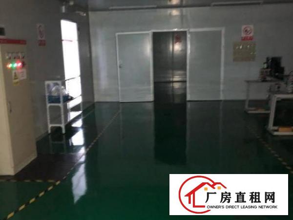  新出无尘车间1300平