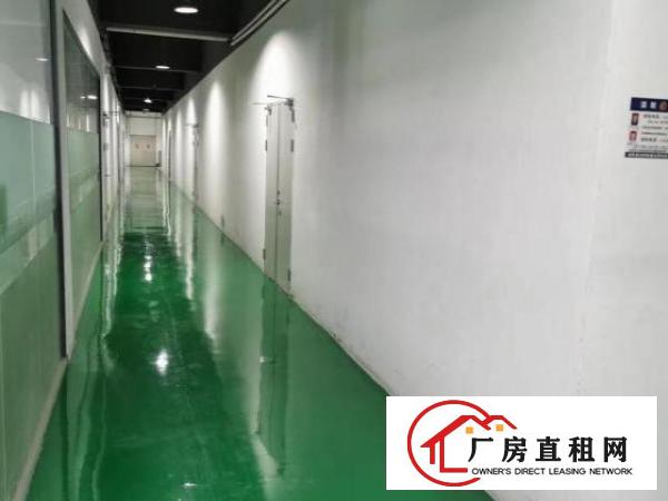  光明红本厂房200平方起分租精装修