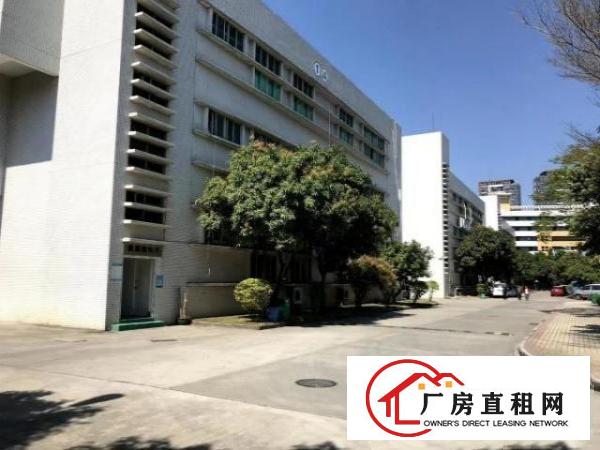  光明红本厂房200平方起分租精装修