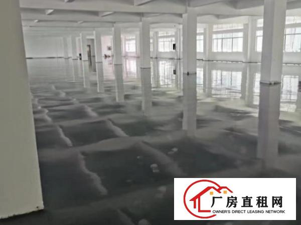 光明红本厂房200平方起分租精装修