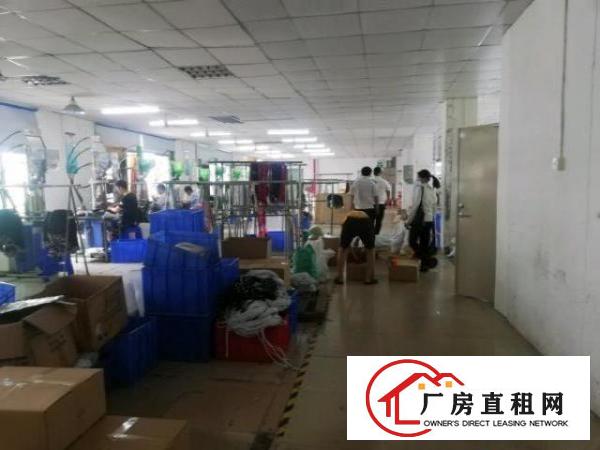  大型园区2楼整层1200平方精装修
