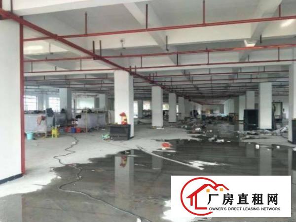  光明大围社区二楼厂房出租800平米，消防喷淋