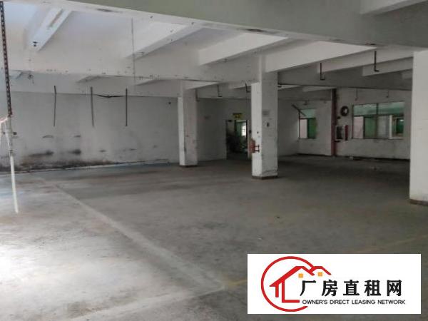  塘家村标准厂房，二楼，可分租