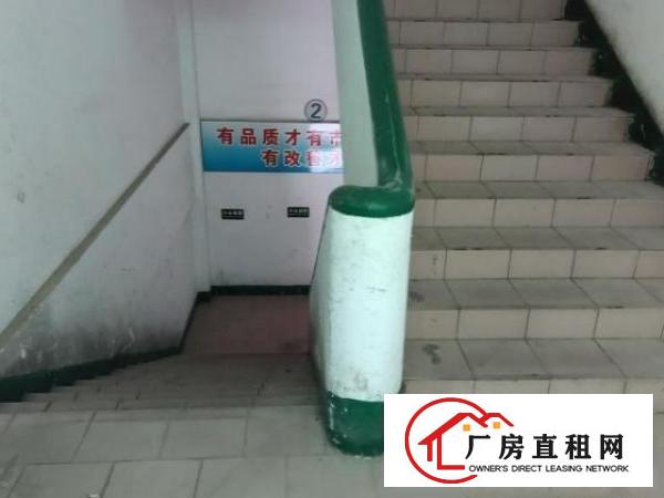  塘家村标准厂房，二楼，可分租