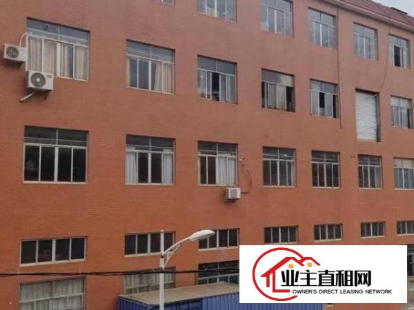  出租光明区观光路厂房