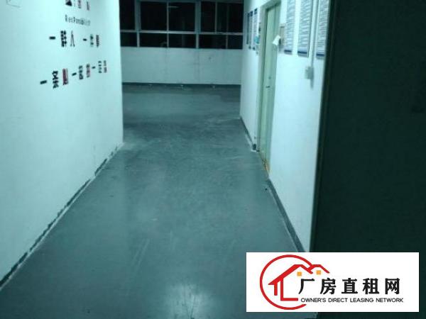  大厂房有意者过来看房