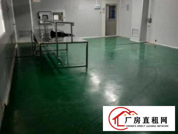  出租光明区长圳无尘厂房（分租）