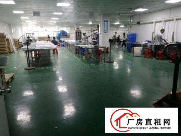  光明松柏路边上新出1500平精装修厂房，面积实在，易招工