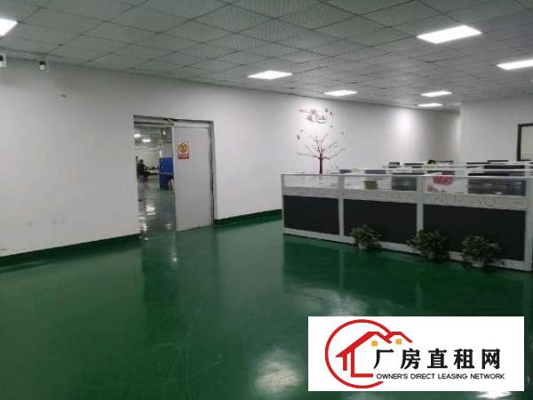  光明松柏路边上新出1500平精装修厂房，面积实在，易招工