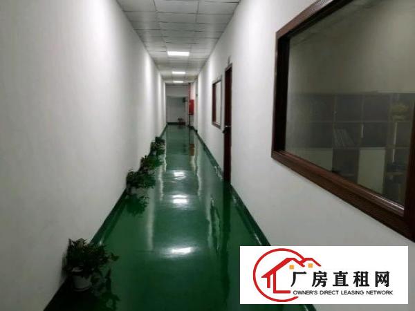  光明松柏路边上新出1500平精装修厂房，面积实在，易招工
