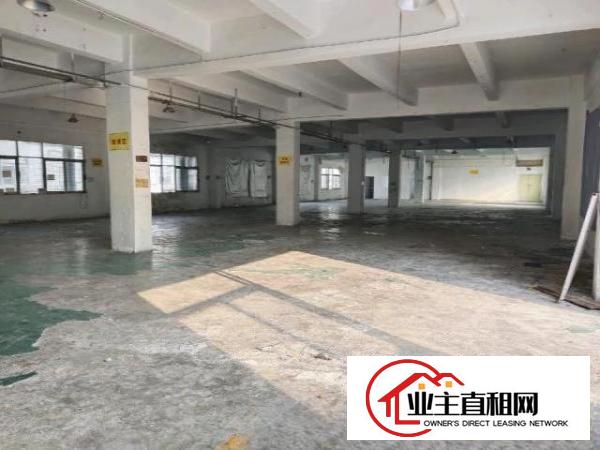  公明楼村独门独院厂房3300平