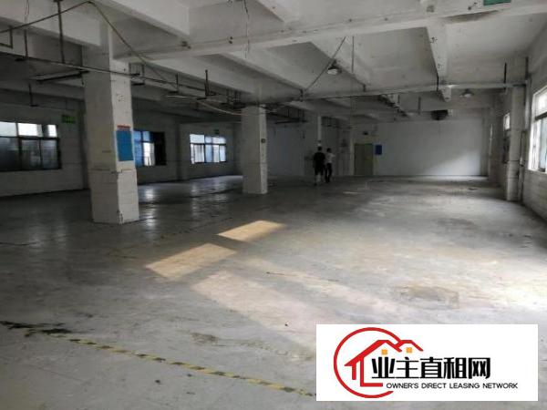  公明楼村独门独院厂房3300平