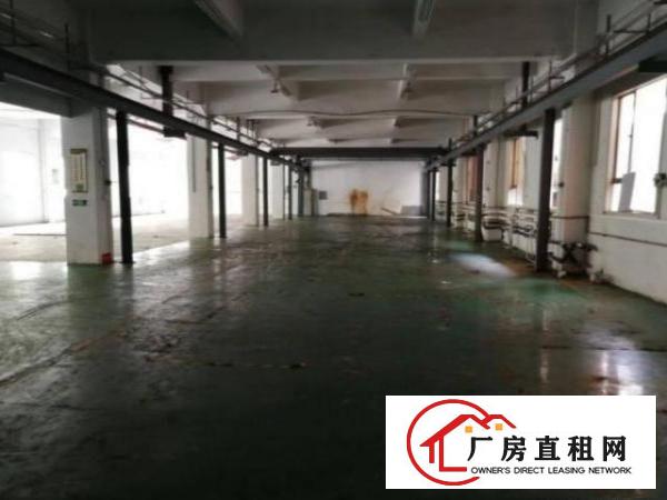  光明翠湖社区一楼1000平方厂房出租带现成办公室行车