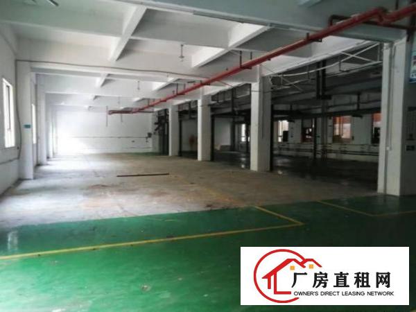  光明翠湖社区一楼1000平方厂房出租带现成办公室行车