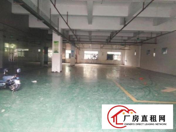  光明碧眼社区出租一楼750平厂房高度6.5米