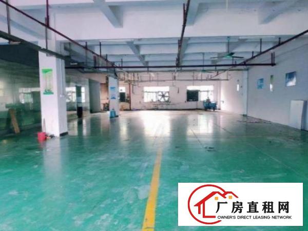  光明碧眼社区出租一楼750平厂房高度6.5米