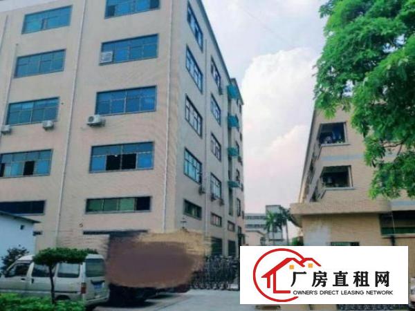  光明西田社区一楼1200平厂房出租高6米精装修