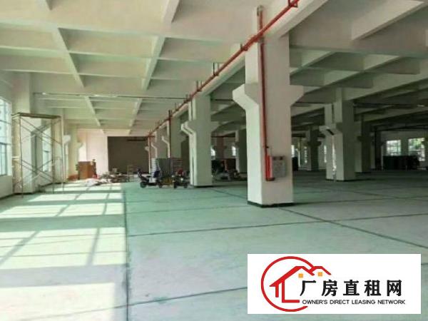  光明圳美社区一楼厂房出租900平米，带消防喷淋
