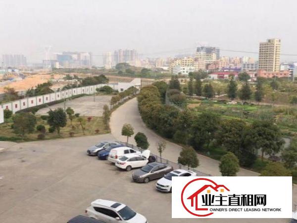  光明区金环宇科技园（厂房出租）