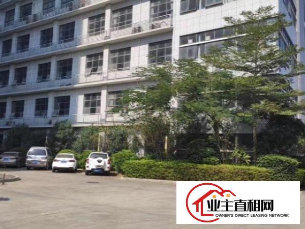  光明高薪产业园35920平厂房出租原房东直租300平起租