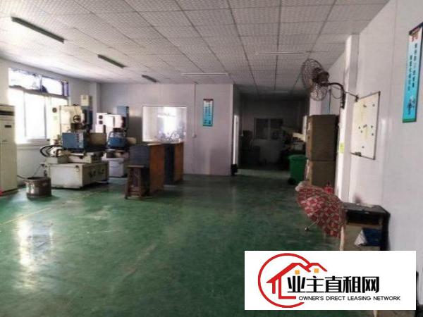  光明玉律村一楼500平米厂房招租，带空地，拎包入住
