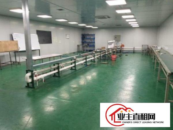  光明玉律村一楼500平米厂房招租，带空地，拎包入住