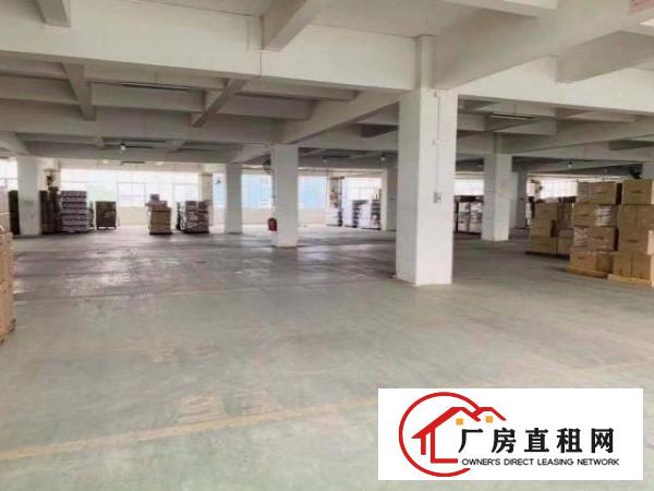  光明东坑村原房东出租一楼厂房1400平，证件齐全